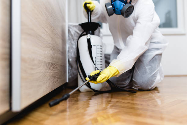 Best Pest Control Near Me in Meadow Glade, WA