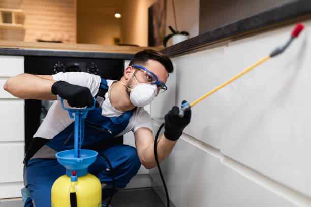 Best Pest Inspection Near Me  in Meadow Glade, WA
