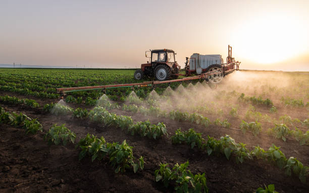 Best Pest Removal Services  in Meadow Glade, WA